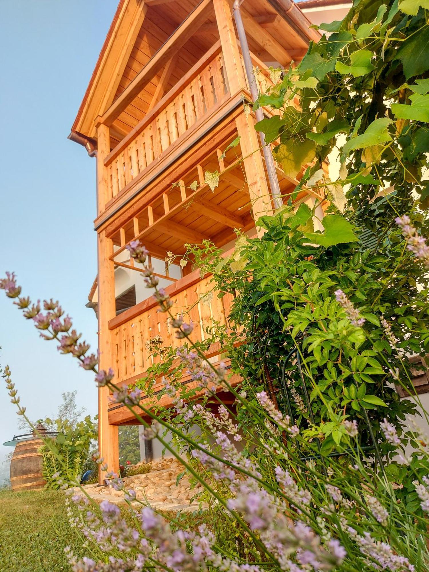 Sonnenhaus Grandl Apartment Feldbach  Luaran gambar