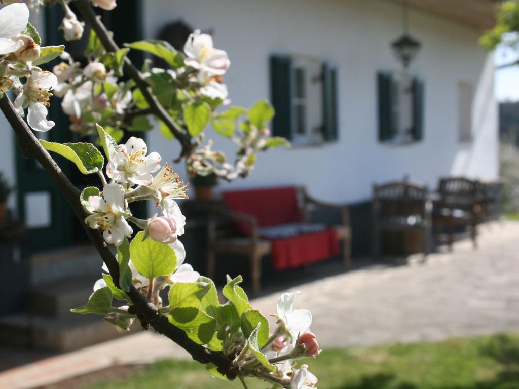 Sonnenhaus Grandl Apartment Feldbach  Luaran gambar