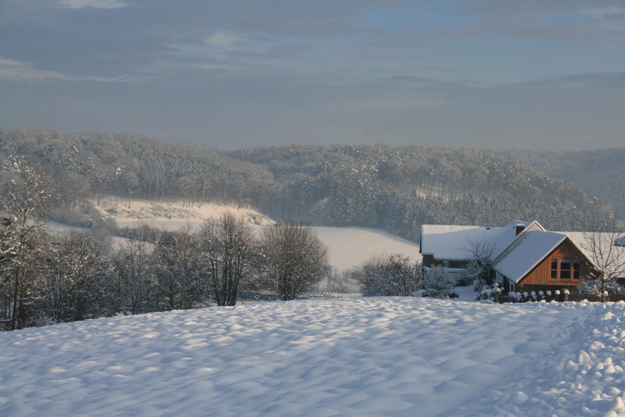 Sonnenhaus Grandl Apartment Feldbach  Luaran gambar